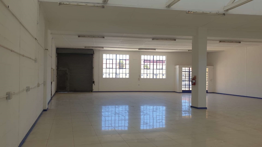 To Let commercial Property for Rent in Observatory Western Cape